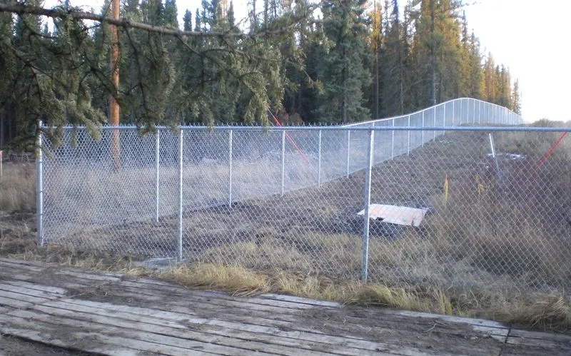 Galvanized wildlife fence through a forested northern Alberta site