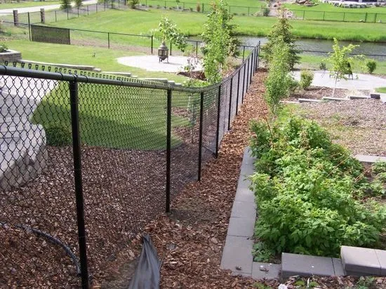 Black coloured residential chain link fence along a landscaped yard