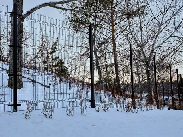 Black welded wire fence through the trees, Hawrelak Park