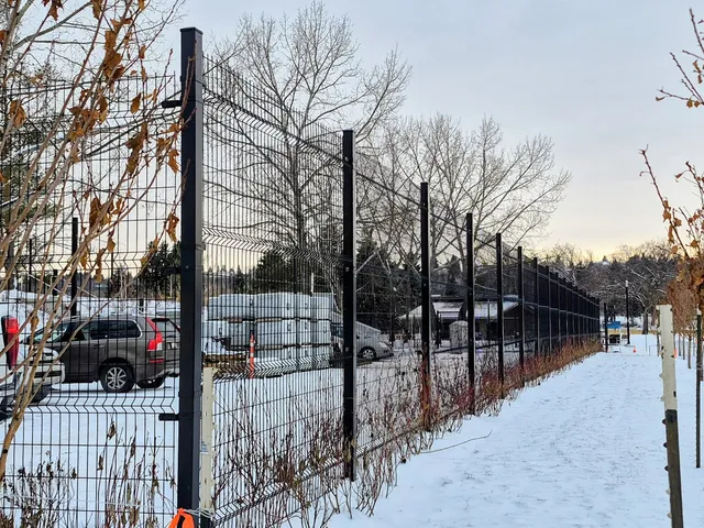 Black welded wire fence beside the service road, Hawrelak Park