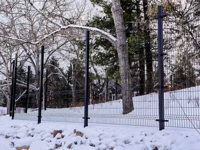 Black welded wire fence in winter, Hawrelak Park