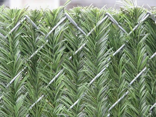 Hedge Link privacy slats