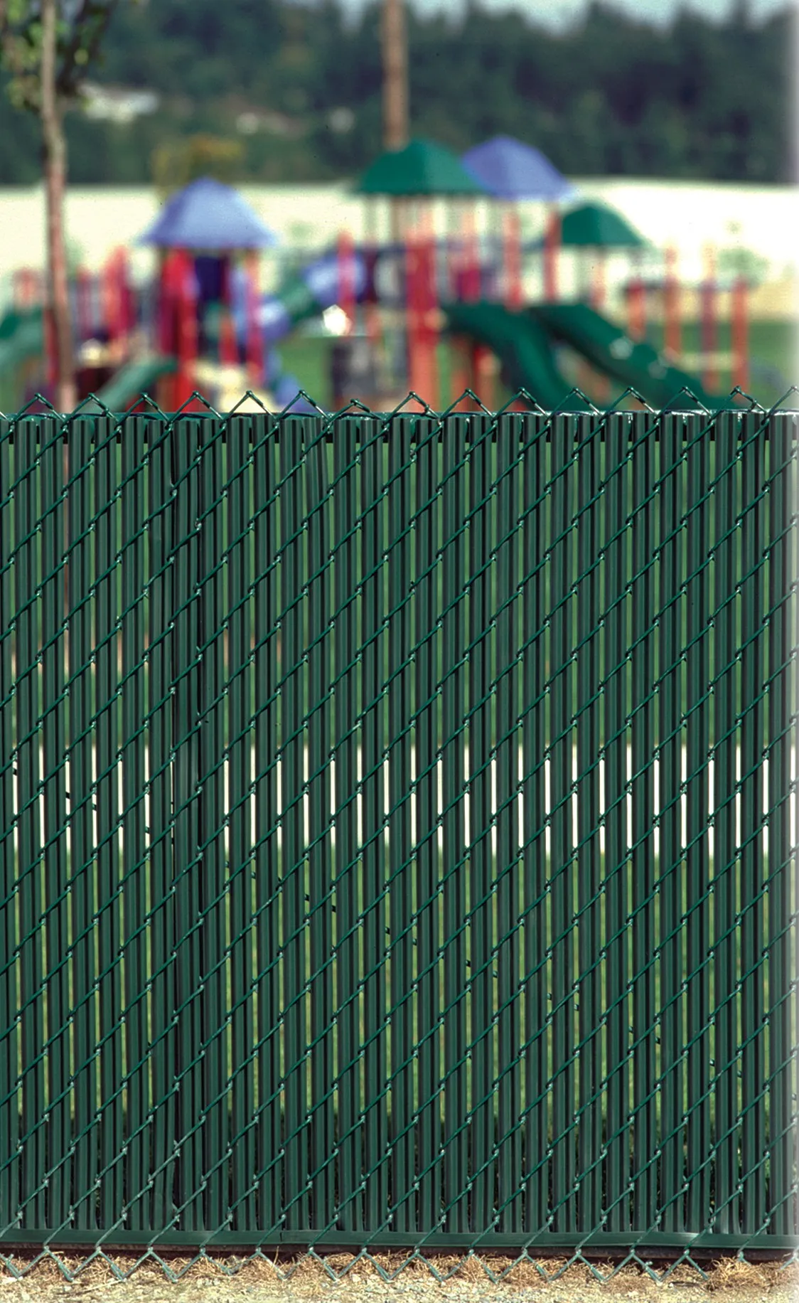 Green Lite Link privacy slats in front of a playground
