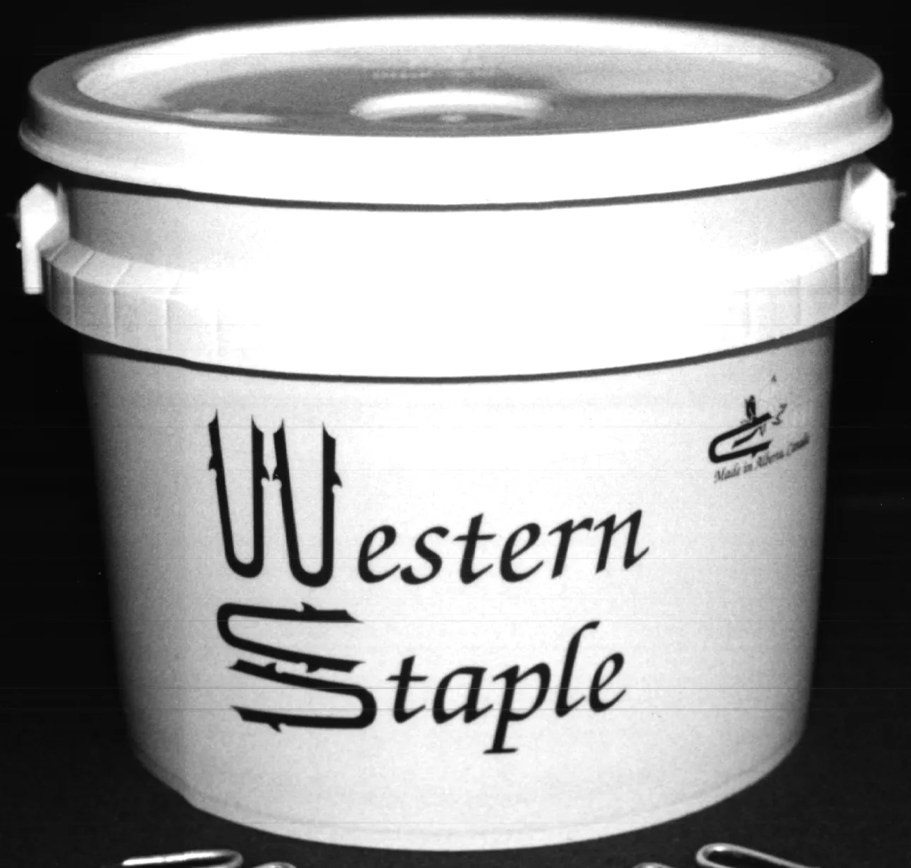 Pail of Western Staple fence staples